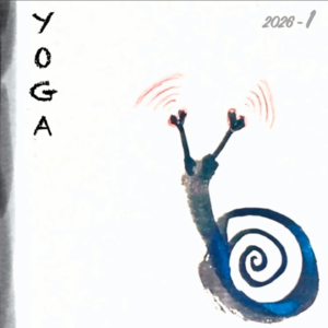 瑜伽｜Snowy：从练习者到打理自己的瑜伽馆，一个瑜伽老师的成长之路。