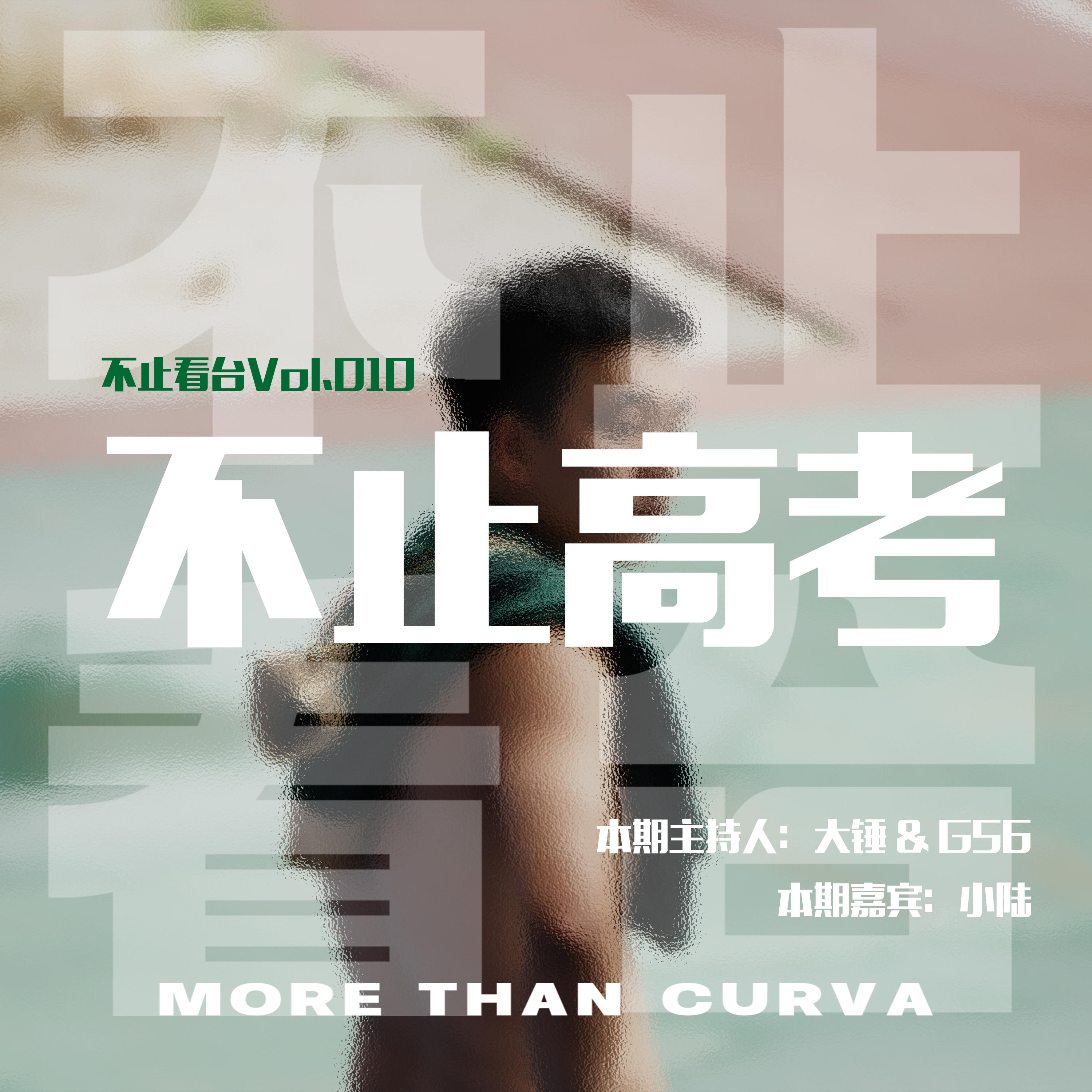 Vol.010 不止高考 episode artwork