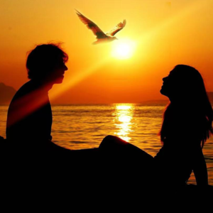 天呐！爱情抉择大难题！