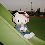 不在梅邊在柳邊