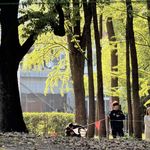 No.038-和父母相处，需要一些「阳奉阴违」