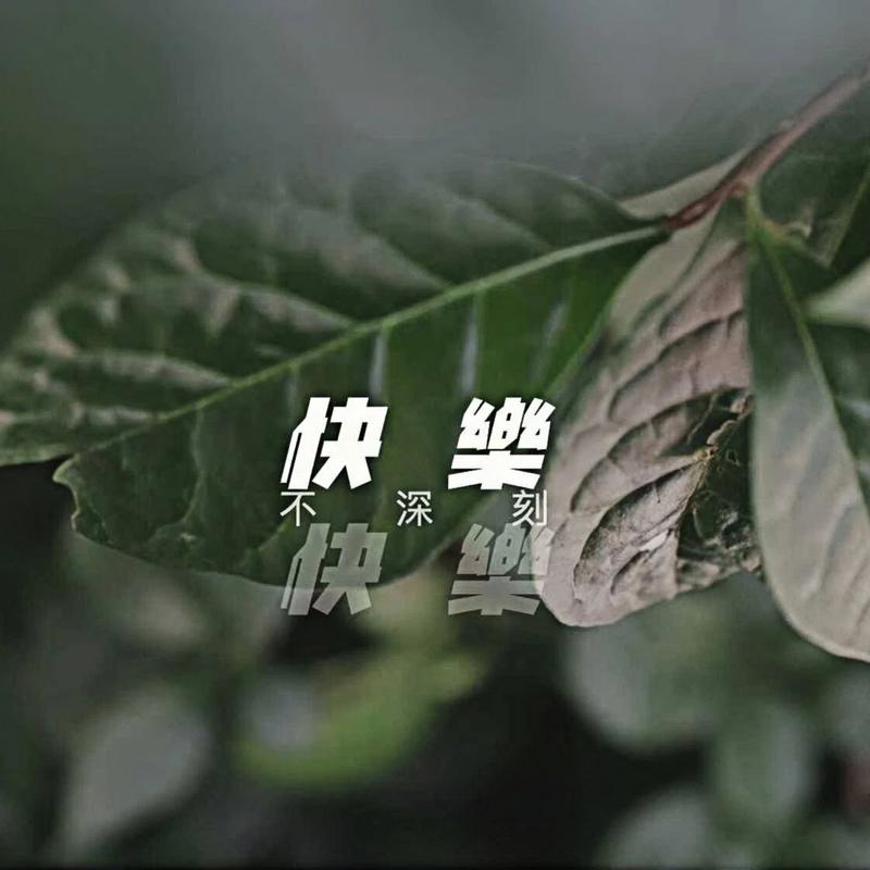 不深刻快乐