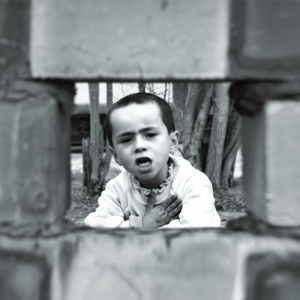 新叙利亚:在满目疮痍的废墟之上,他们带着柑橘树回家