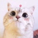冬天里_CPjH
