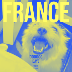 vol.68：松软酥爽得，像可颂一样