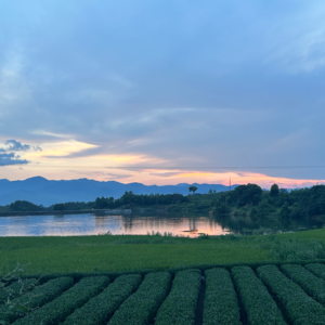 025 行业干货铺｜快乐重塑计划：当社区遇见哲学家
