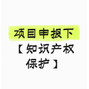 项目申报下【知识产权保护】与【资金扶持】
