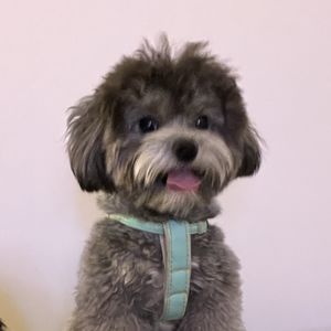 中年人Eric