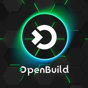 基于 Rust 实现的语言如何与 Rust 生态和社区共同演进繁荣