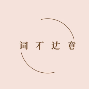 词不达意