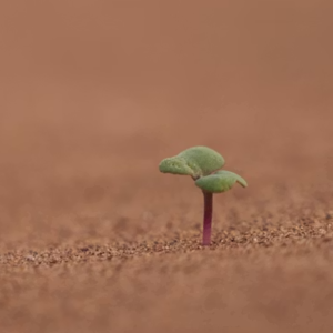 105. 我们聊“勇敢去活”，结果一个更疯了，一个更谨慎了