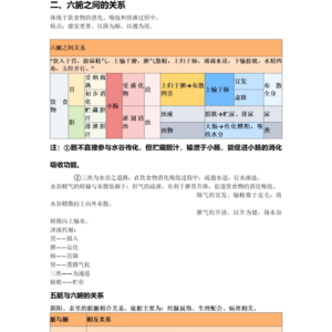 中医基础理论——藏象（二）