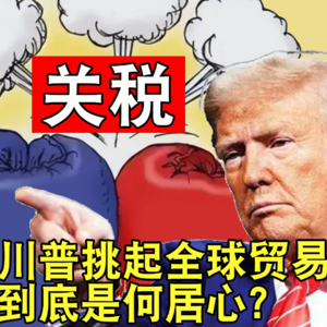 一次性讲透税收与关税，川普挑起全球关税战到底想干啥？