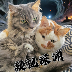 012-凝视深渊：吴谢宇弑母案的探讨