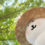 小原猪猪猪包