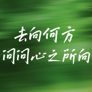 去往何方？问问心之所向！