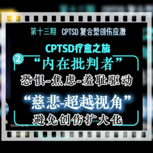 旷野漫谈||第十三期(2)CPTSD:慈悲-超越视角“内在批判者”