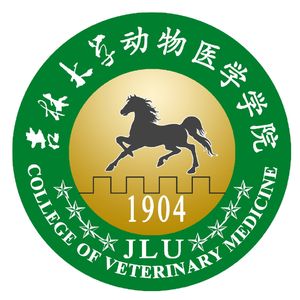 结构化面试——综合分析“新中式旅游”
