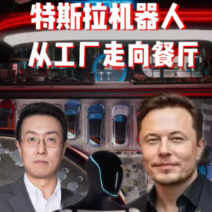 第615集 一口气了解特斯拉机器人（第1集）