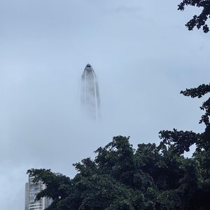 玲生零语