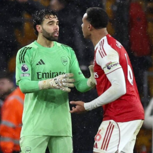 胡踢！ （阿森纳客场2：2狼）