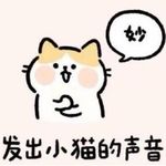 蹦蹦毛毛