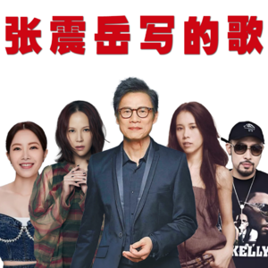 真的没想到，这些歌竟然都是张震岳写的？