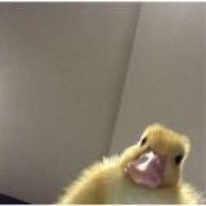 不良地质现象2河流地质作用