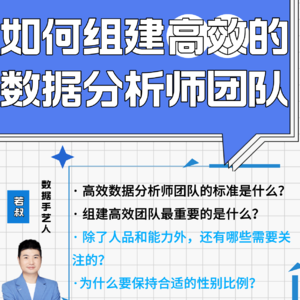 如何组建高效的数据分析师团队