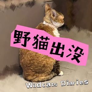 EP06 《莉莉亚娜不可战胜的夏天》寻找跨越30年的真相