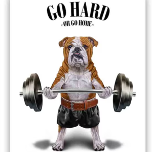 GYM 燃脂举铁兴奋剂