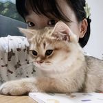 小狗胡子