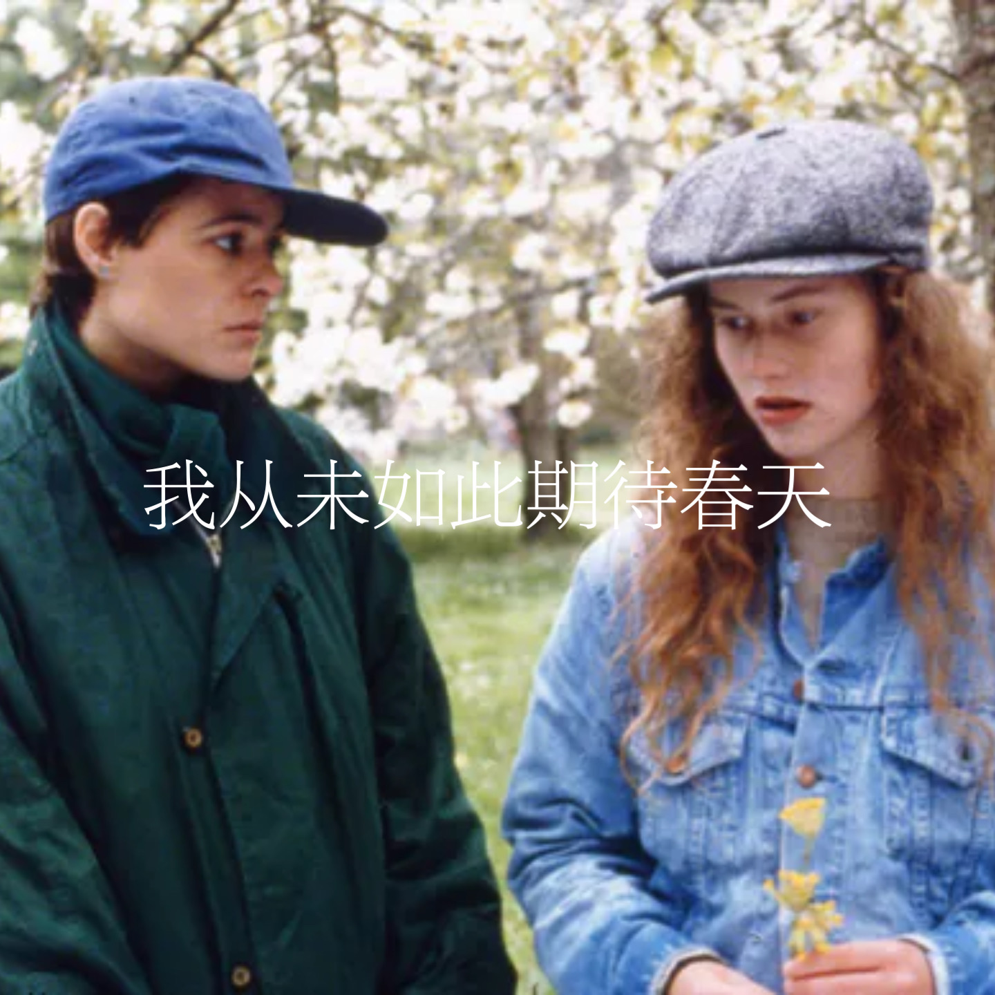 44.我从未如此期待春天