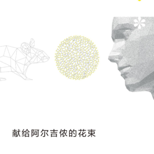 《献给阿尔吉侬的花束》--你会服下让你变成天才的药丸吗？