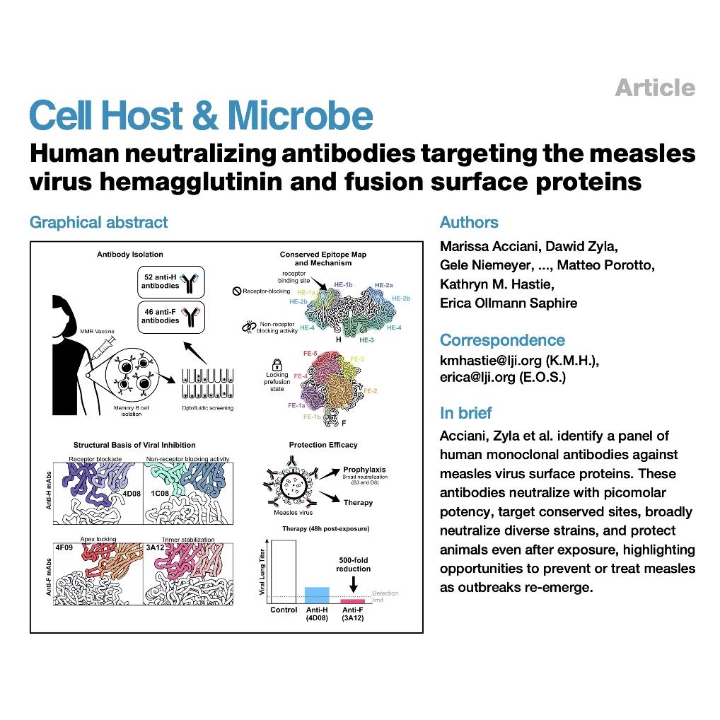 1113-Monoclonal Antibodies Targeting Measles Proteins episode artwork