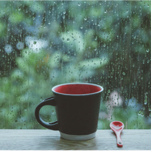 77、85后对话95后：冷不丁两拳投个资