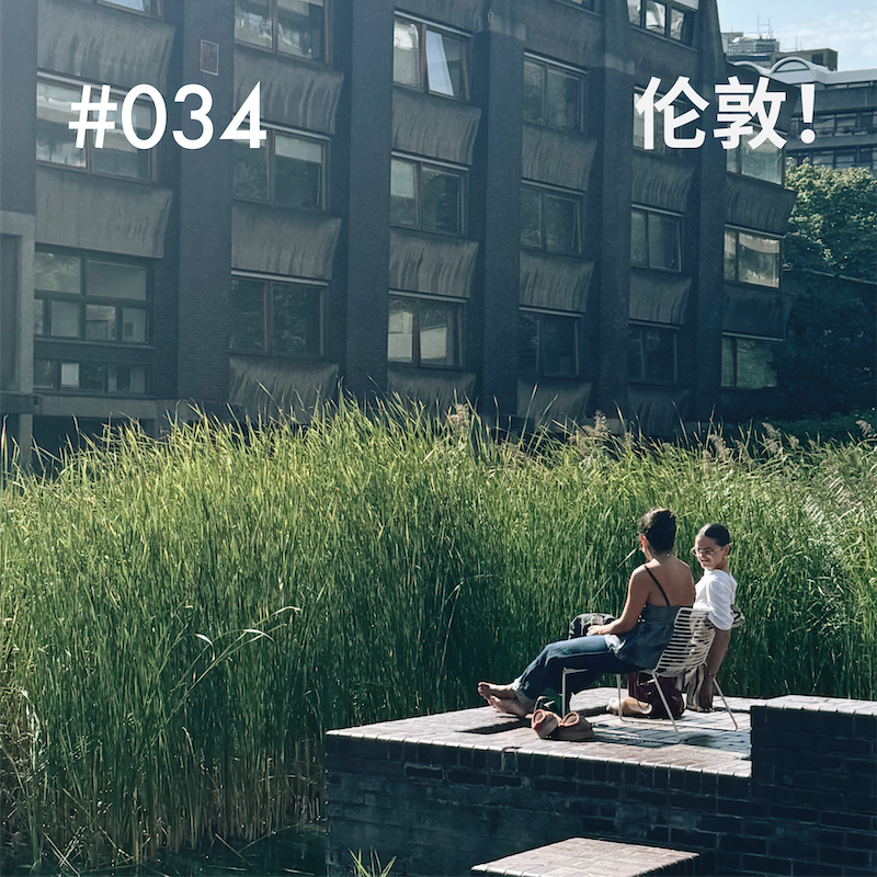 vol.34 和杨一聊伦敦:习惯反思,也习惯无事可做