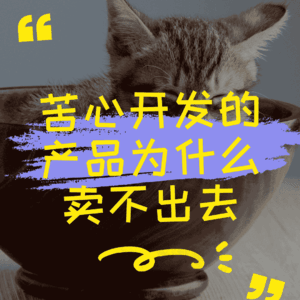 苦心开发的产品为什么卖不出去？