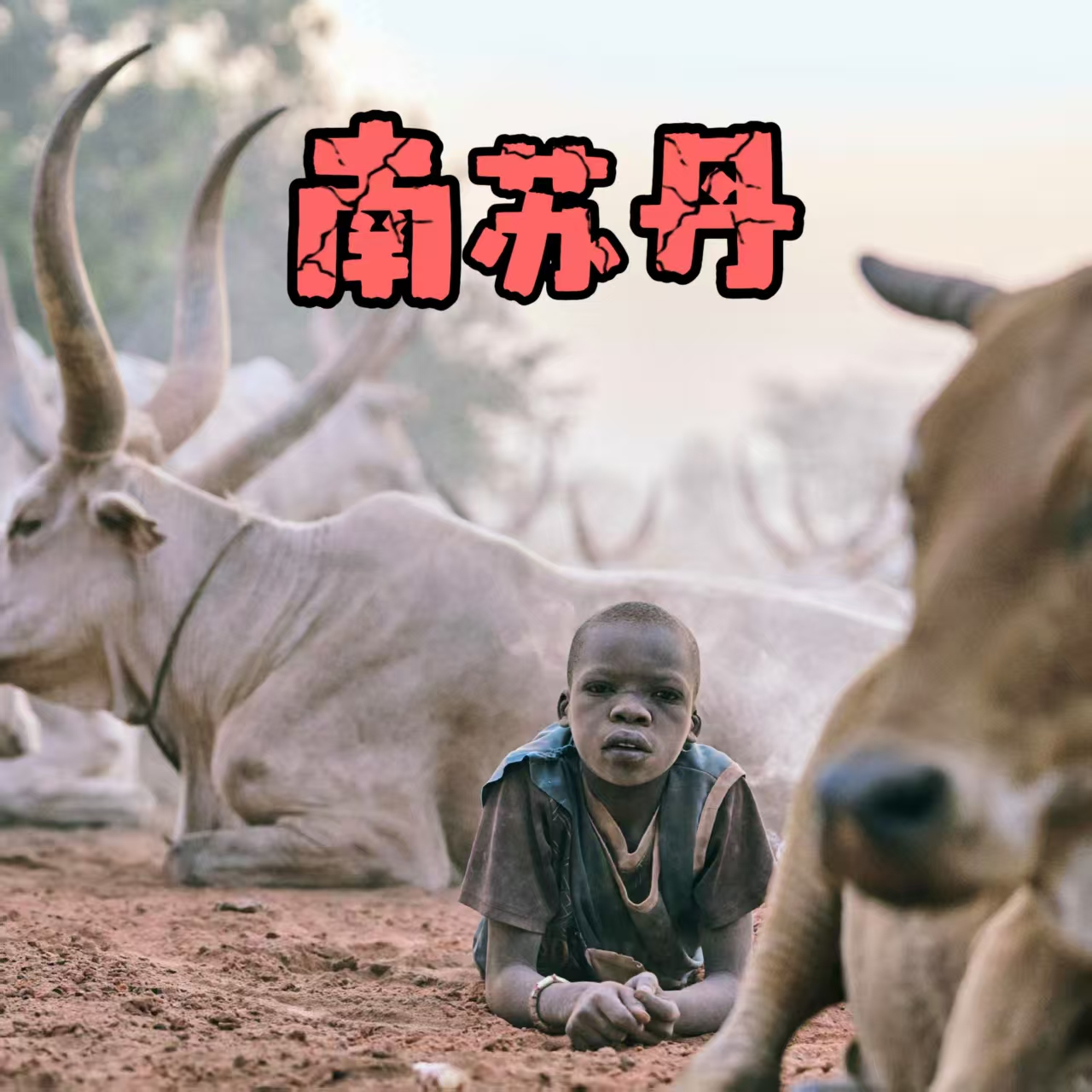 29. 南苏丹 | 去非洲还能干嘛？能吹牛逼！嗯，就是字面上的意思 episode artwork