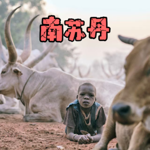 29. 去非洲能干嘛？能吹牛逼！嗯，就是字面上的意思 | 南苏丹