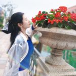 莯心含