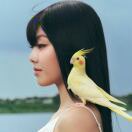 林夕ya