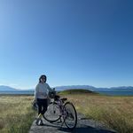 小小的大象没烦恼