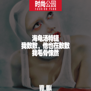 VOL004.海龟汤：我数数，他也在数数，我毛骨悚然