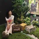 辰薇的梦想星球