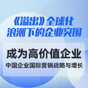 成为高价值企业——中国企业国际营销战略与增长