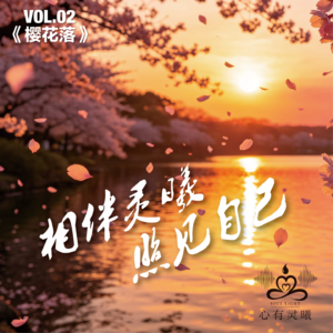 心有灵曦《樱花落》