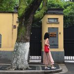 湾荼岁_Ott