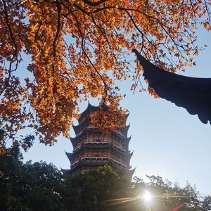 随性聊聊的个人播客