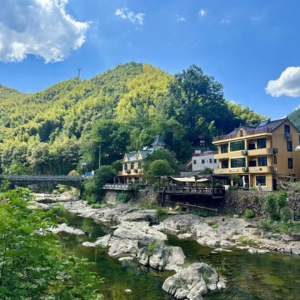 41.山里的瑜伽静修之旅:休憩、内观与萍水相逢